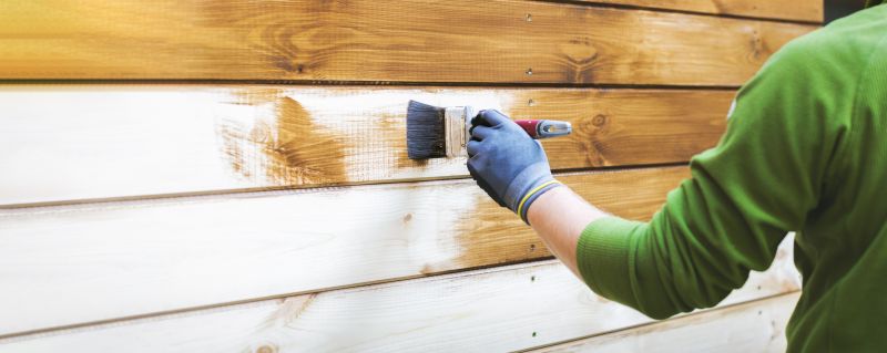 Siding Painting Service in Longmont, CO