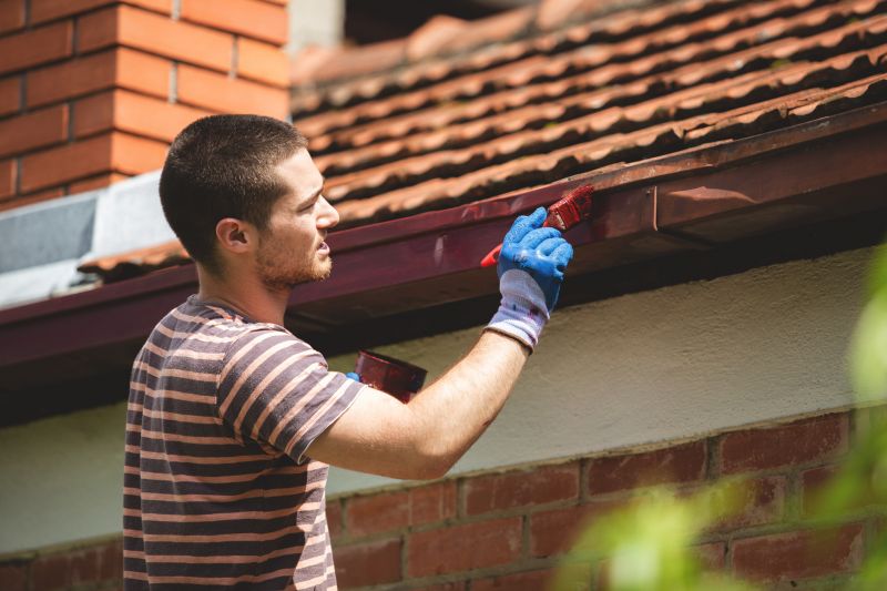Gutters Painting in Longmont, CO
